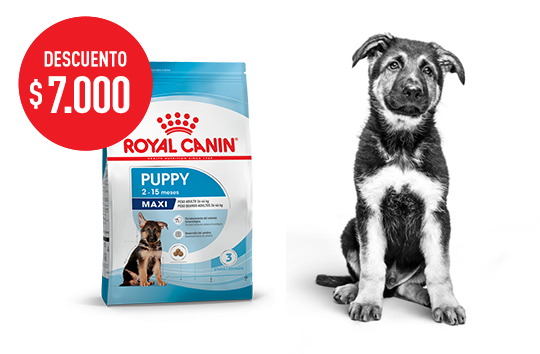 Imagen promoción Maxi Puppy 15 kg    